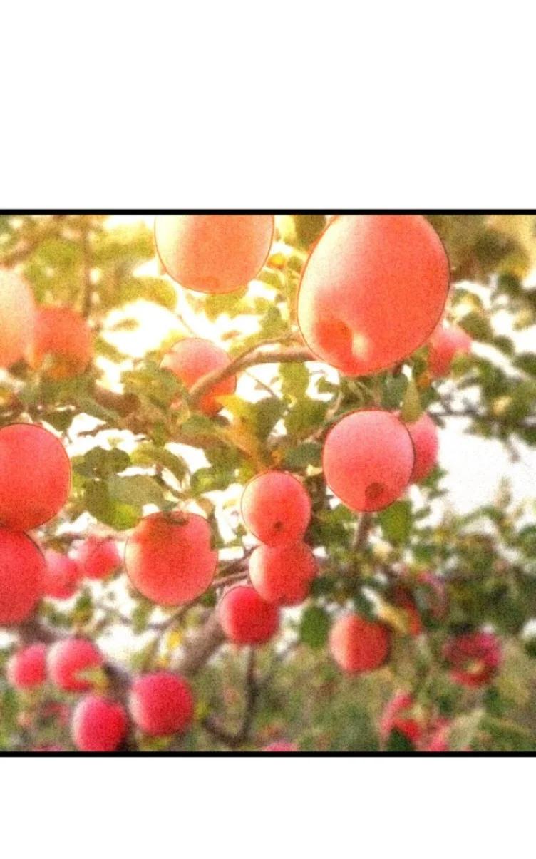 Manga-lc-com อ่านมังงะ อ่านการ์ตูน ออนไลน์ ฟรี Rebirth Back to 1983 to be a Millionaire ตอนที่ 1 2 3 4 5 6 7 8 9 10 11 12 13 14 ฟรี ไม่มีโฆษณา Manga-lc - อ่าน มังงะ อ่าน การ์ตูน ออนไลน์ อ่านมังงะ ฟรี