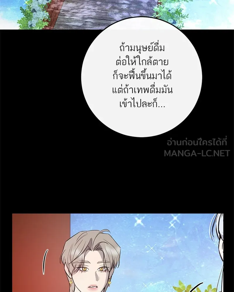 ตำนานเทพธิดาตกสวรรค์ ตอนที่ 67 รูปที่ 12