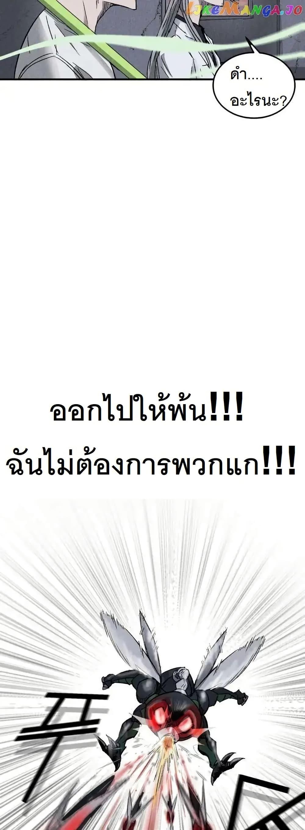 Manga-lc-com อ่านมังงะ อ่านการ์ตูน ออนไลน์ ฟรี INSECTOR ตอนที่ 1 2 3 4 5 6 7 8 9 10 11 12 13 14 ฟรี ไม่มีโฆษณา Manga-lc - อ่าน มังงะ อ่าน การ์ตูน ออนไลน์ อ่านมังงะ ฟรี