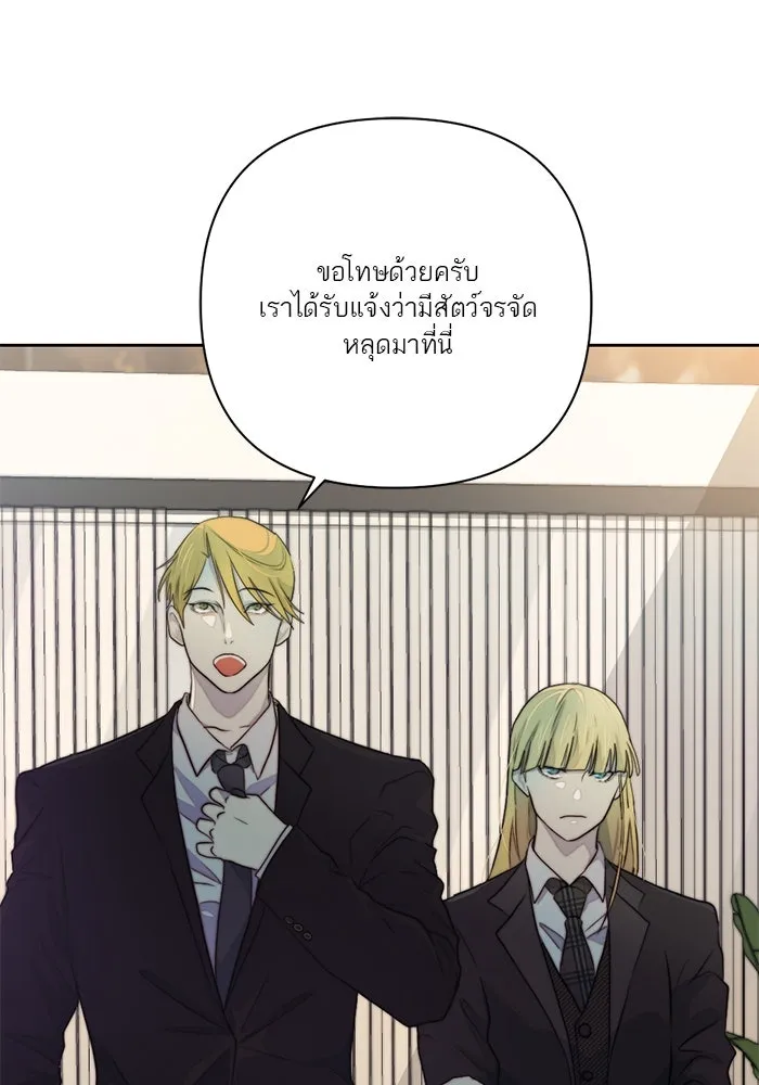 เปย์นี้เพื่อนาย My Sugar Baby ตอนที่ 33 ความปรารถนาและคำสาปแช่ง รูปที่ 77