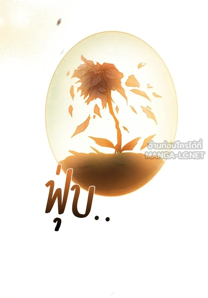 ครัวจอมเวท ตอนที่ 121 รูปที่ 144