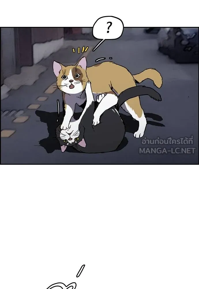 Wind Breaker ตอนที่ 236 รูปที่ 3