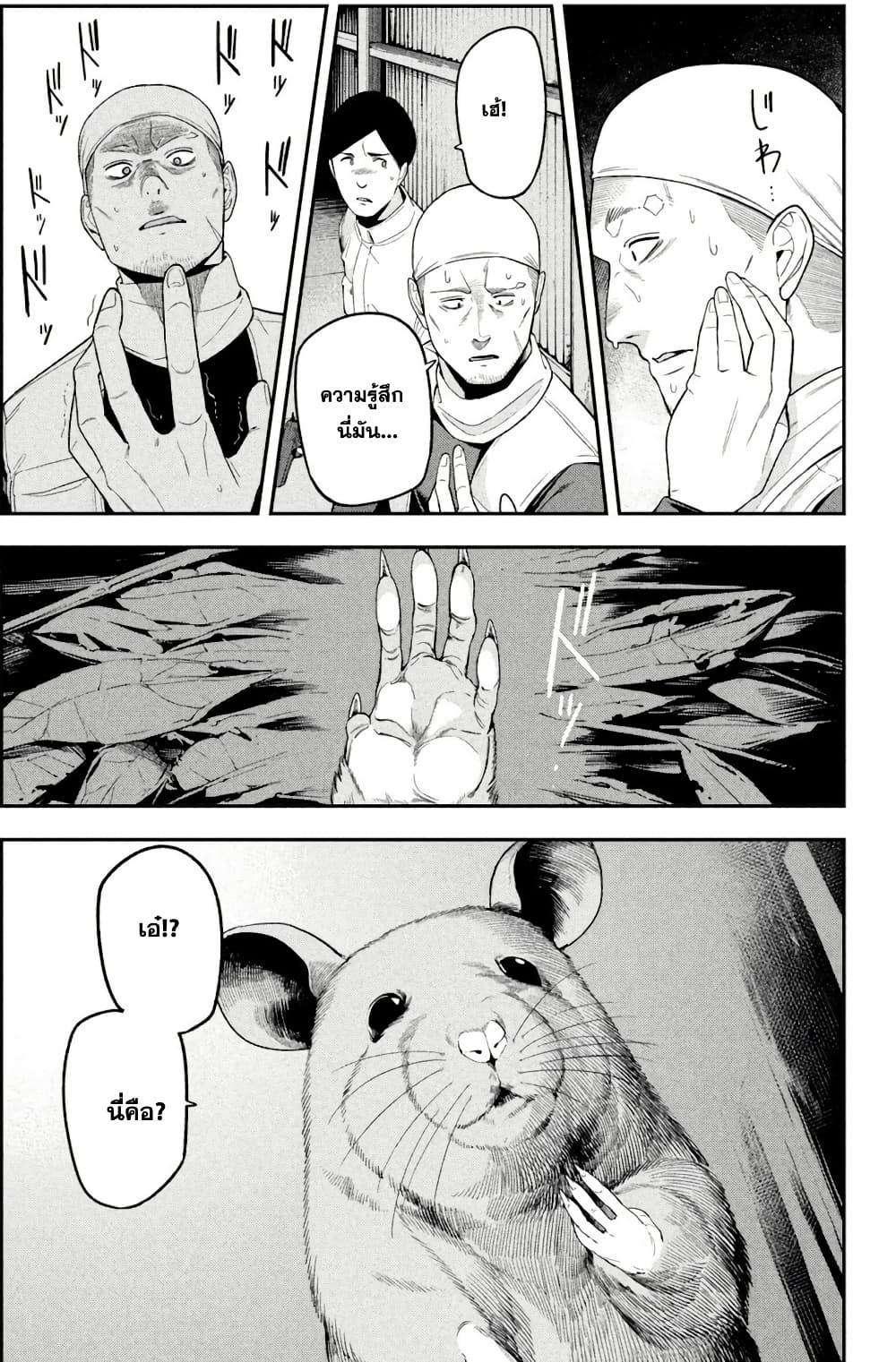 Manga-lc-com อ่านมังงะ อ่านการ์ตูน ออนไลน์ ฟรี Nighthawk Returns ตอนที่ 1 2 3 4 5 6 7 8 9 10 11 12 13 14 ฟรี ไม่มีโฆษณา Manga-lc - อ่าน มังงะ อ่าน การ์ตูน ออนไลน์ อ่านมังงะ ฟรี