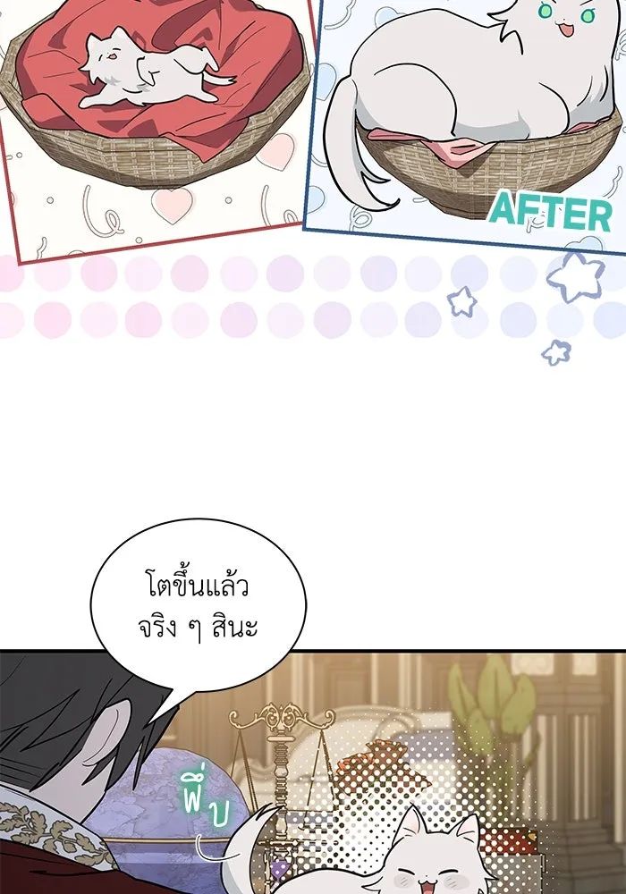 แมวน้อยในรังหมาป่า ตอนที่ 41 รูปที่ 11