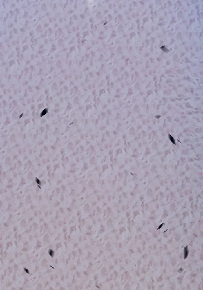 +99 ท่อนไม้พร้อมบวก ตอนที่ 47 รอบชิง (1) รูปที่ 380