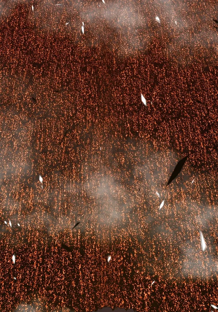 +99 ท่อนไม้พร้อมบวก ตอนที่ 25 รูปที่ 86