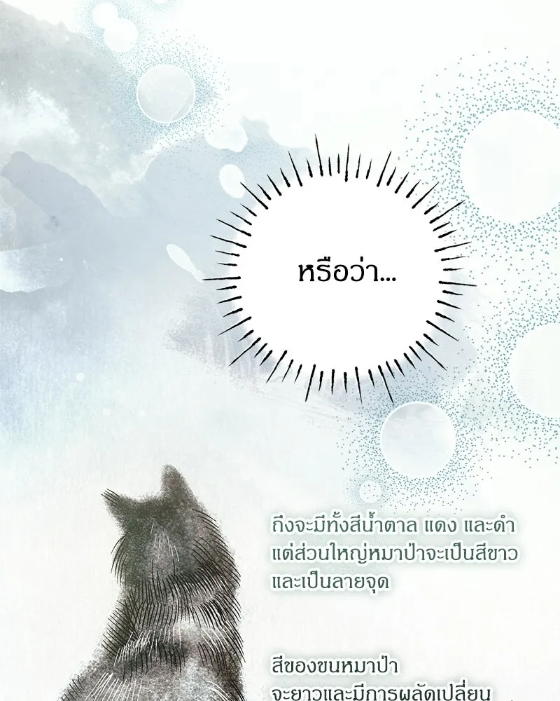 จุ๊บรัก คุณหมาป่า ตอนที่ 18 รูปที่ 95