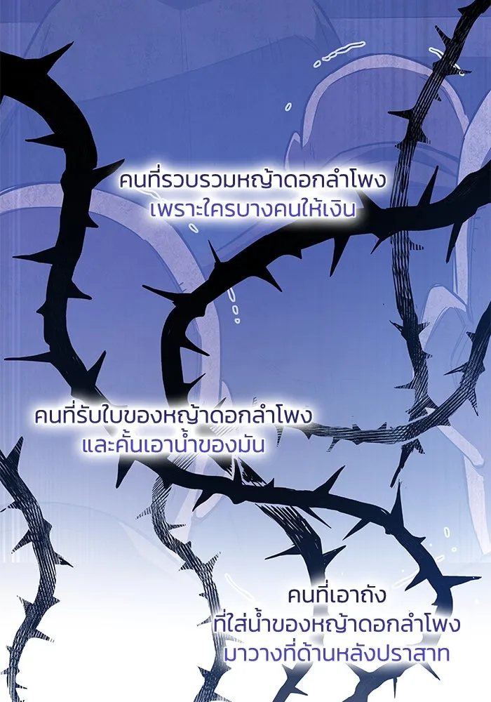 ฟิลเลียโรเซ่กับคำทำนายแห่งมงกุฎหนาม ตอนที่ 141 รูปที่ 53