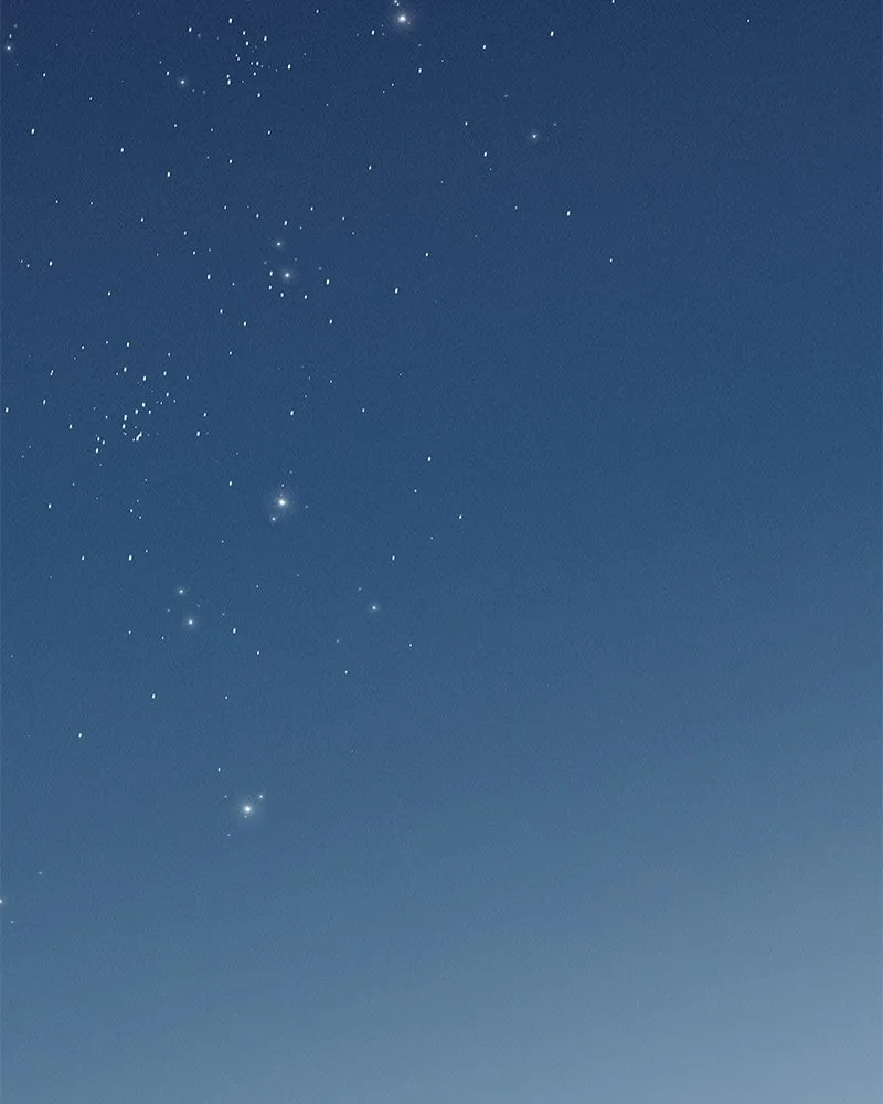 ข้าต้องไม่ใช่พระชายา ตอนที่ 89 (ตอนจบ) รูปที่ 89