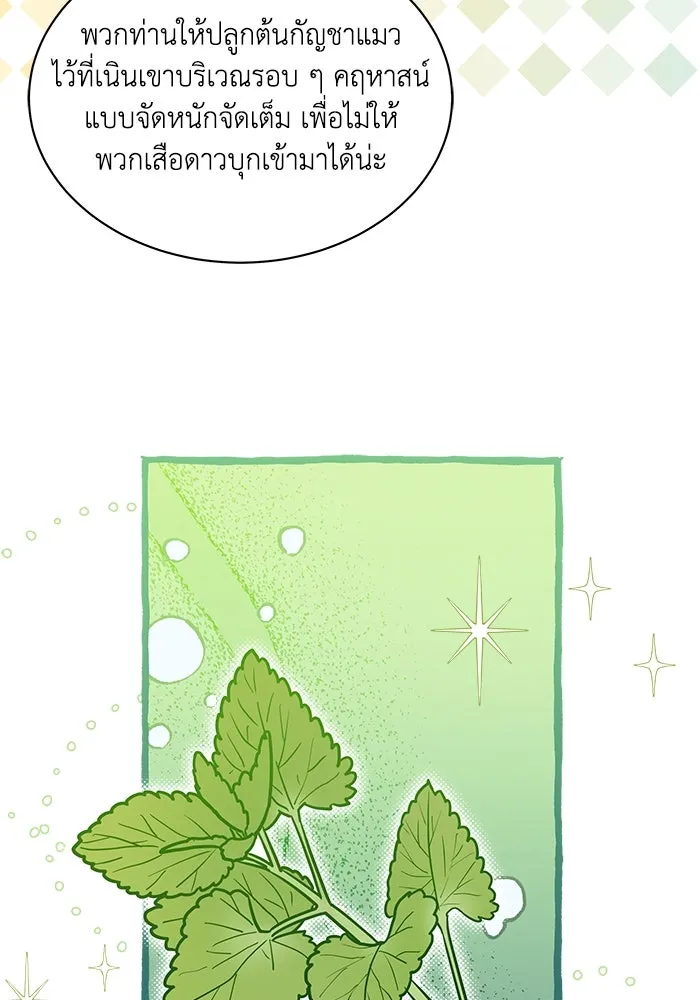 แมวน้อยในรังหมาป่า ตอนที่ 24 รูปที่ 40