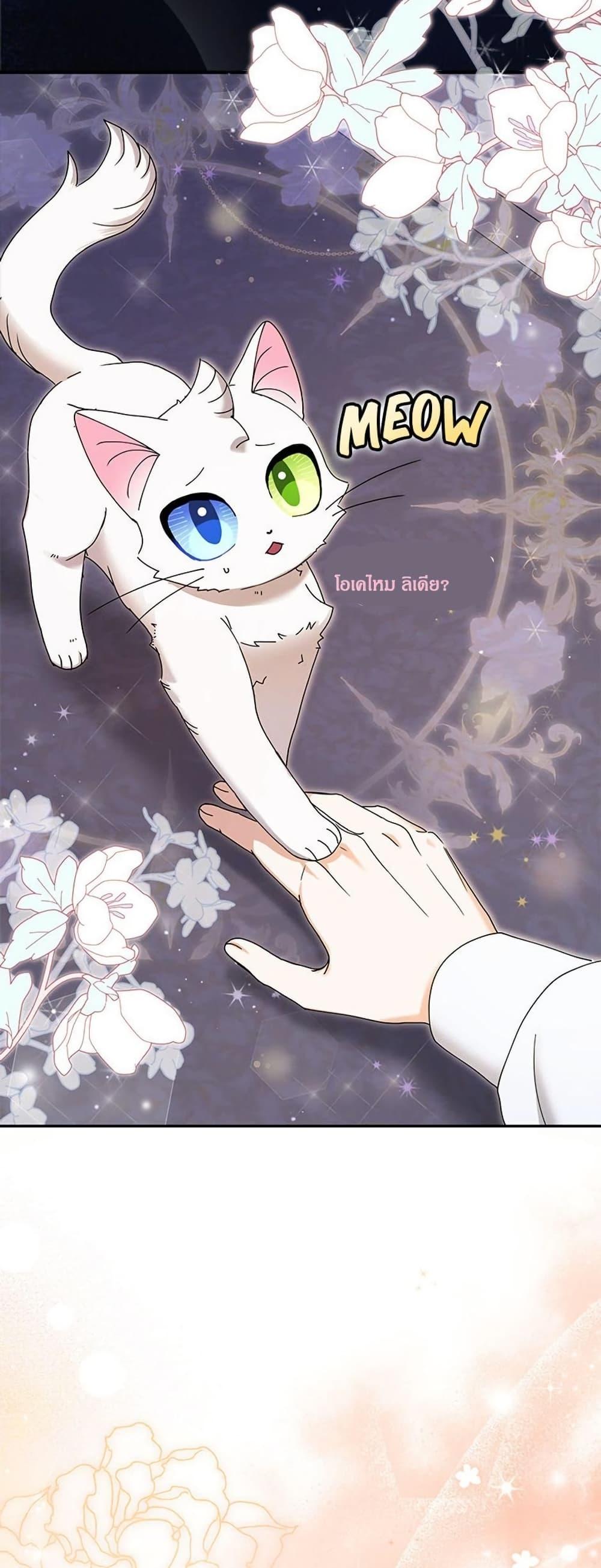 Manga-lc-com อ่านมังงะ อ่านการ์ตูน ออนไลน์ ฟรี I Became the Emperor’s Cat ตอนที่ 1 2 3 4 5 6 7 8 9 10 11 12 13 14 ฟรี ไม่มีโฆษณา Manga-lc - อ่าน มังงะ อ่าน การ์ตูน ออนไลน์ อ่านมังงะ ฟรี