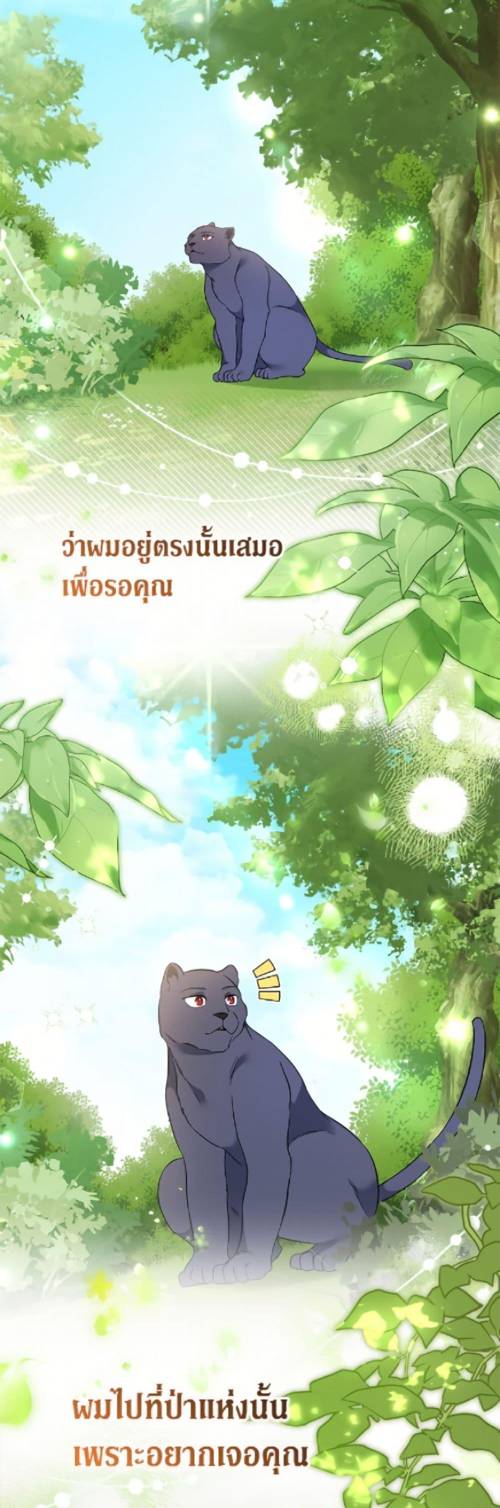 Manga-lc-com อ่านมังงะ อ่านการ์ตูน ออนไลน์ ฟรี The Symbiotic Relationship Between a Panther and a Rabbit ตอนที่ 1 2 3 4 5 6 7 8 9 10 11 12 13 14 ฟรี ไม่มีโฆษณา Manga-lc - อ่าน มังงะ อ่าน การ์ตูน ออนไลน์ อ่านมังงะ ฟรี
