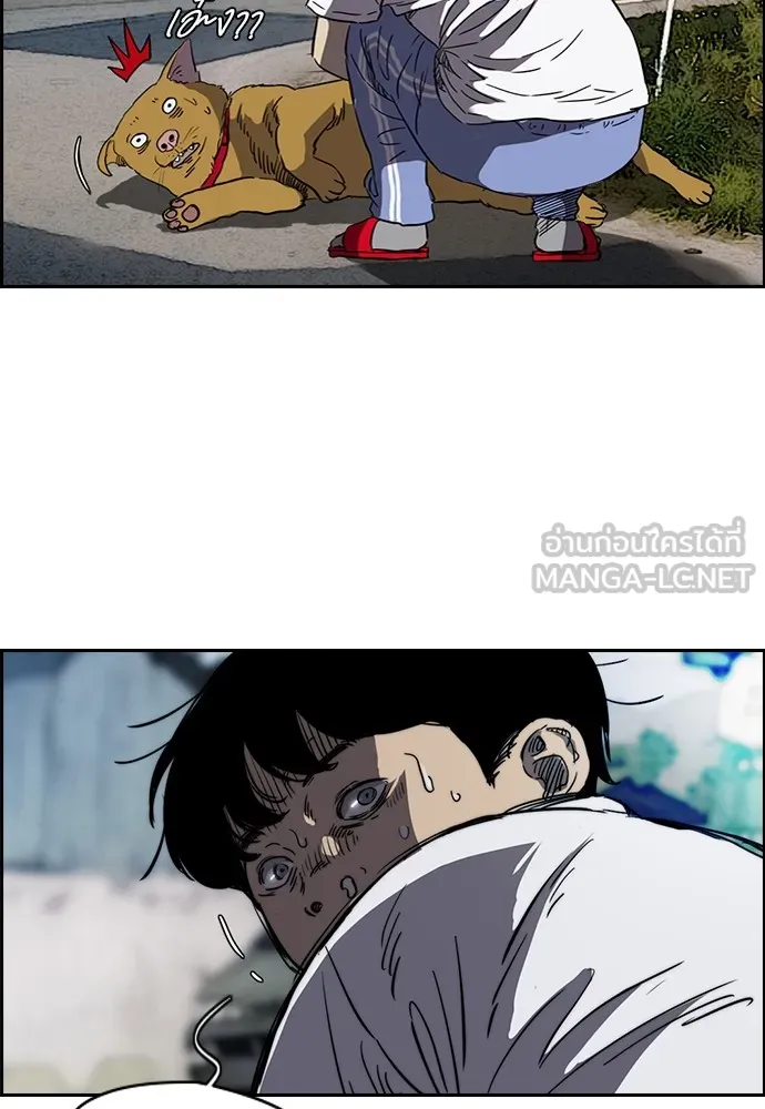 ปั่นสู้ฝันbrWind Breaker ตอนที่ 46 รูปที่ 18