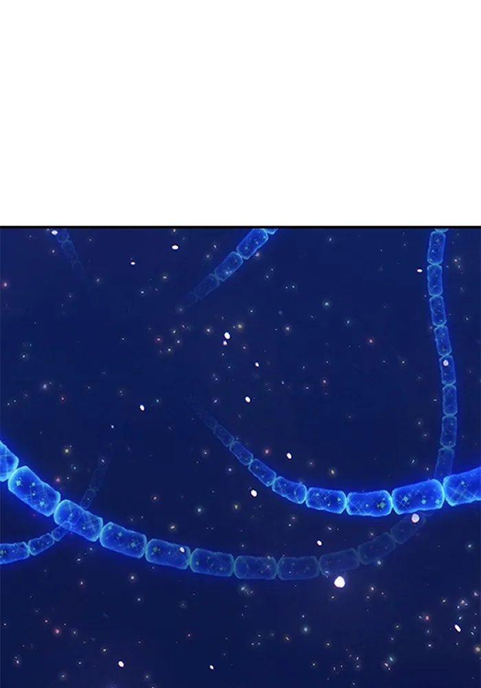 +99 ท่อนไม้พร้อมบวก ตอนที่ 68 รูปที่ 293