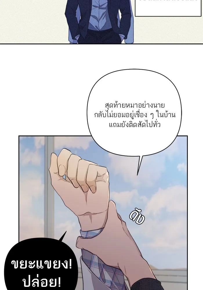 เปย์นี้เพื่อนาย My Sugar Baby ตอนที่ 62 เป้าหมายใหม่ของฮอลล์ รูปที่ 56