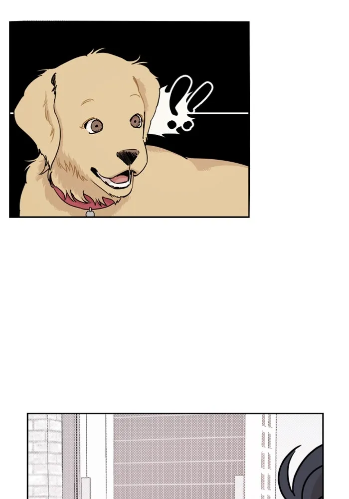 จริง ๆ แล้ว โอบารัมน่ะ… ตอนที่ 20 รูปที่ 13