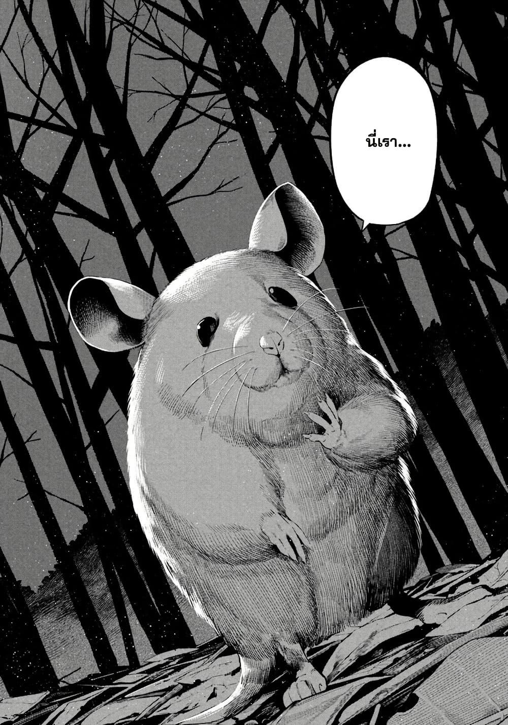 Manga-lc-com อ่านมังงะ อ่านการ์ตูน ออนไลน์ ฟรี Nighthawk Returns ตอนที่ 1 2 3 4 5 6 7 8 9 10 11 12 13 14 ฟรี ไม่มีโฆษณา Manga-lc - อ่าน มังงะ อ่าน การ์ตูน ออนไลน์ อ่านมังงะ ฟรี