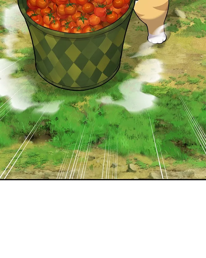 ปลูกผักพิชิตหอคอย ตอนที่ 35 รูปที่ 166