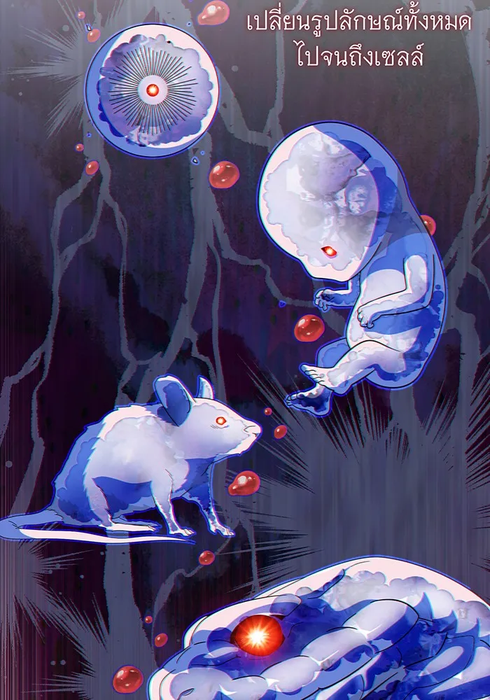 จอมเวทเกิดใหม่ในรอบ 66666 ปี ตอนที่ 113 รูปที่ 121