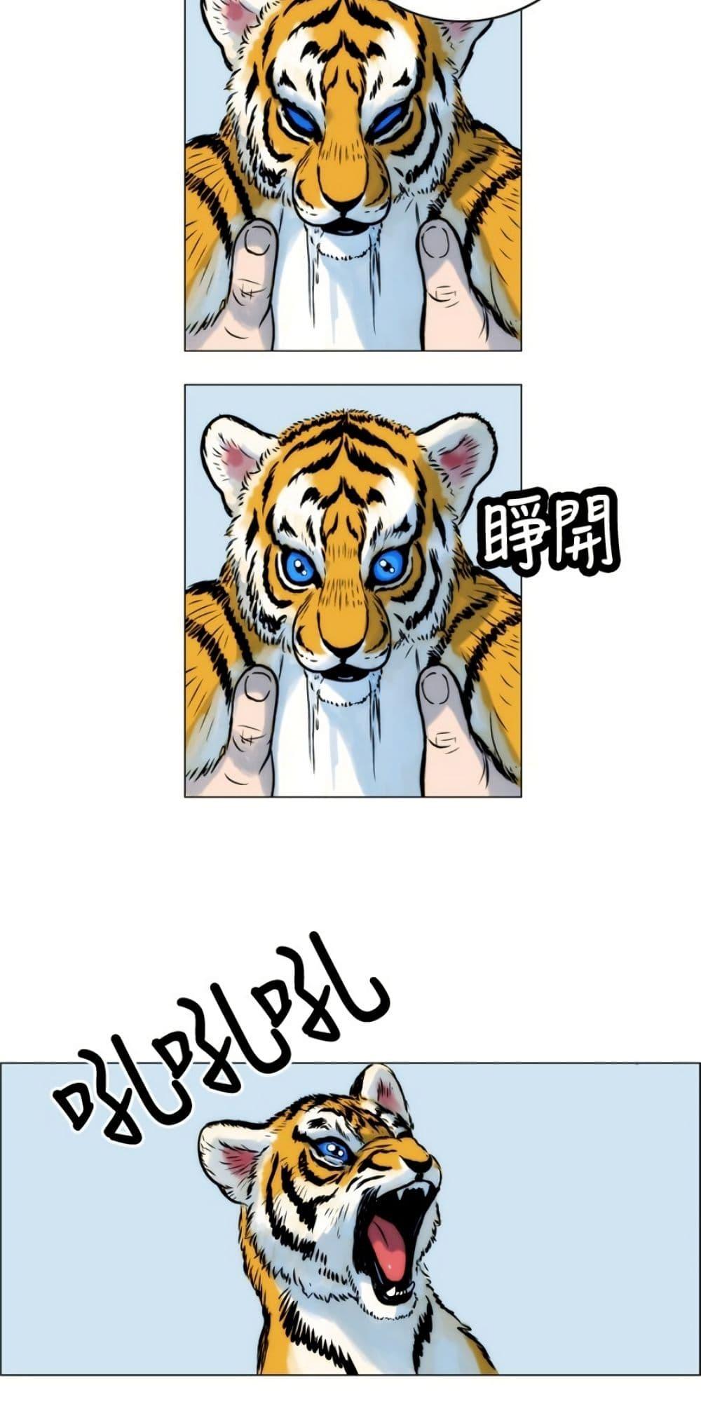 Manga-lc-com อ่านมังงะ อ่านการ์ตูน ออนไลน์ ฟรี Tiger Brother ตอนที่ 1 2 3 4 5 6 7 8 9 10 11 12 13 14 ฟรี ไม่มีโฆษณา Manga-lc - อ่าน มังงะ อ่าน การ์ตูน ออนไลน์ อ่านมังงะ ฟรี
