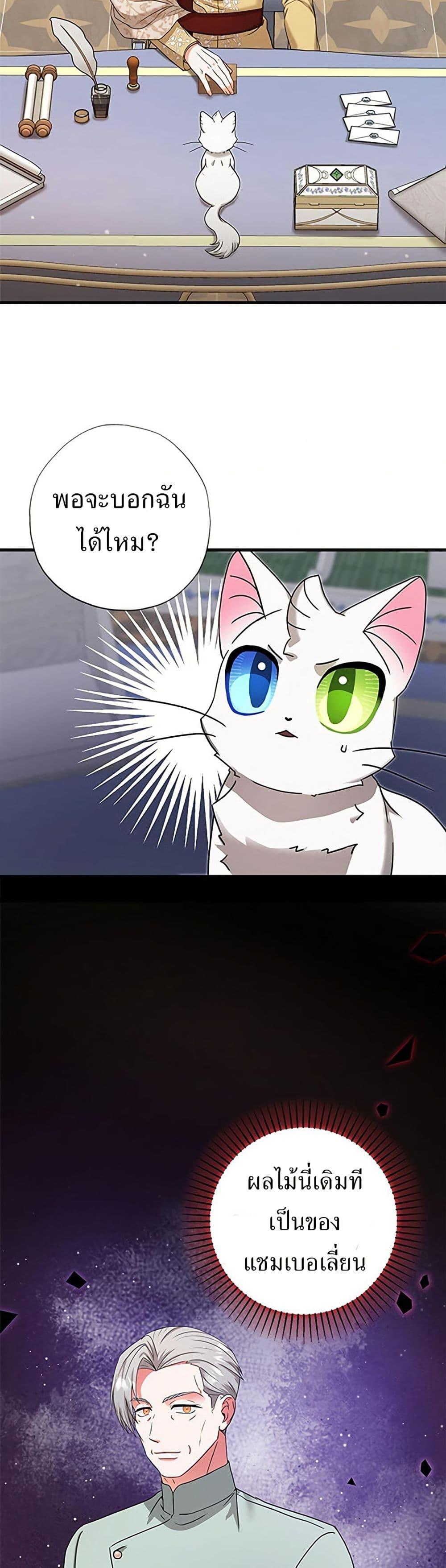 Manga-lc-com อ่านมังงะ อ่านการ์ตูน ออนไลน์ ฟรี I Became the Emperor’s Cat ตอนที่ 1 2 3 4 5 6 7 8 9 10 11 12 13 14 ฟรี ไม่มีโฆษณา Manga-lc - อ่าน มังงะ อ่าน การ์ตูน ออนไลน์ อ่านมังงะ ฟรี