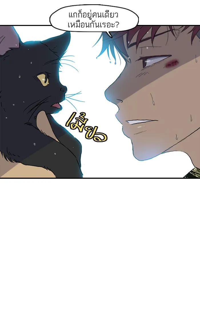 ปั่นสู้ฝันbrWind Breaker ตอนที่ 18 รูปที่ 35