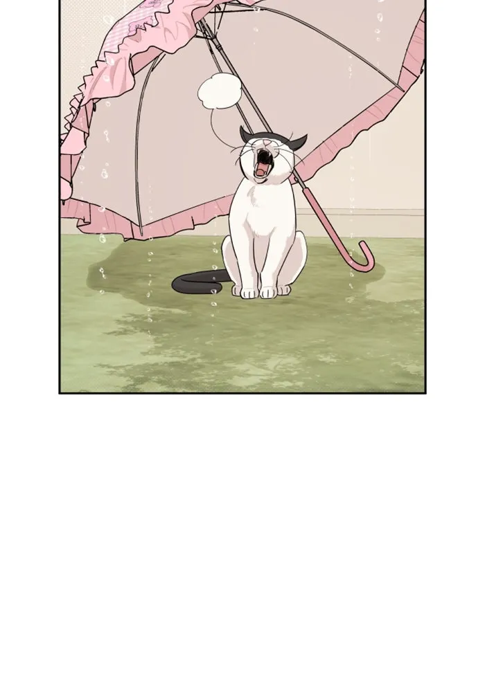 จริง ๆ แล้ว โอบารัมน่ะ… ตอนที่ 30 รูปที่ 37