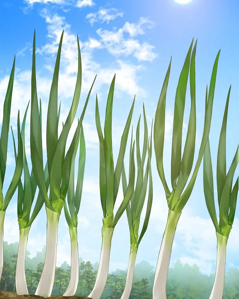 ปลูกผักพิชิตหอคอย ตอนที่ 46 รูปที่ 119