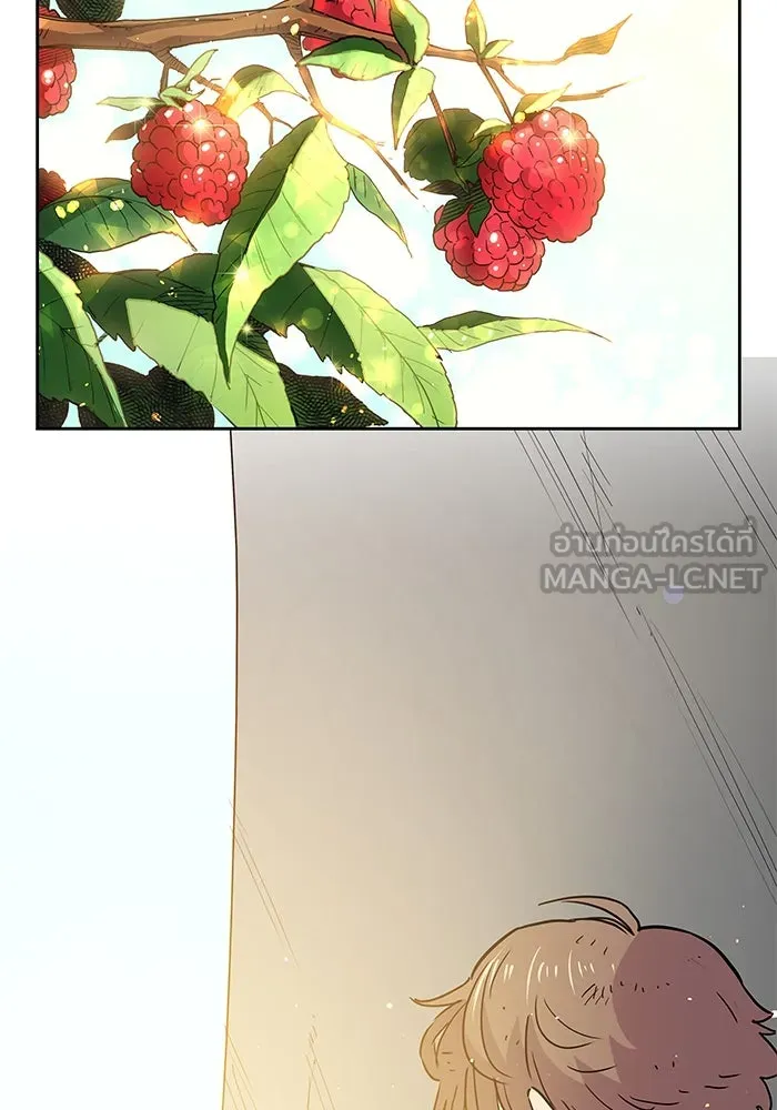 ฟิลเลียโรเซ่กับคำทำนายแห่งมงกุฎหนาม ตอนที่ 15 รูปที่ 15