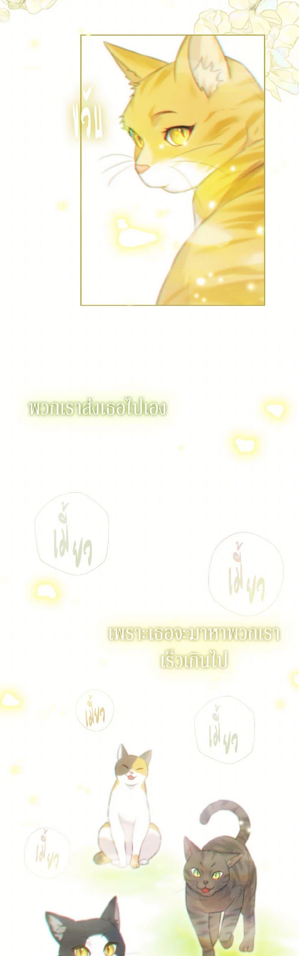 Manga-lc-com อ่านมังงะ อ่านการ์ตูน ออนไลน์ ฟรี I Possessed a Villainess, but I Wanna Raise Cats! ตอนที่ 1 2 3 4 5 6 7 8 9 10 11 12 13 14 ฟรี ไม่มีโฆษณา Manga-lc - อ่าน มังงะ อ่าน การ์ตูน ออนไลน์ อ่านมังงะ ฟรี