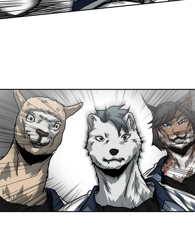 โรงเรียนสัตว์กินเนื้อ ตอนที่ 66 รูปที่ 71