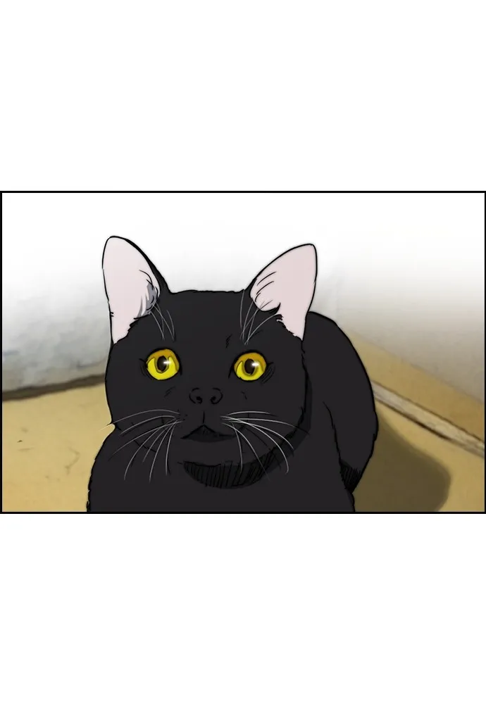 ปั่นสู้ฝันbrWind Breaker ตอนที่ 86 รูปที่ 53