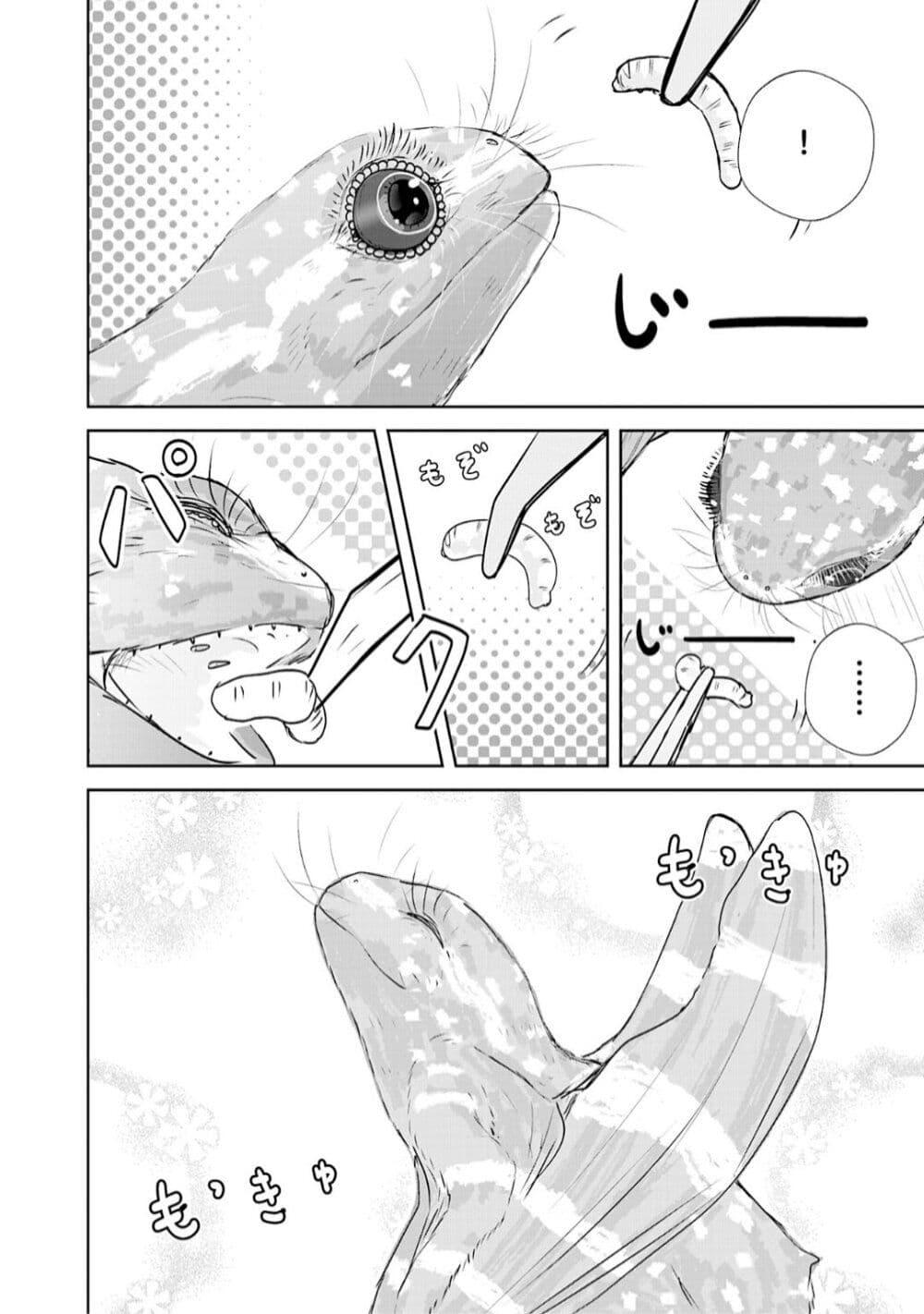 Manga-lc-com อ่านมังงะ อ่านการ์ตูน ออนไลน์ ฟรี A 600-Million-Year Natural History Journey ตอนที่ 1 2 3 4 5 6 7 8 9 10 11 12 13 14 ฟรี ไม่มีโฆษณา Manga-lc - อ่าน มังงะ อ่าน การ์ตูน ออนไลน์ อ่านมังงะ ฟรี