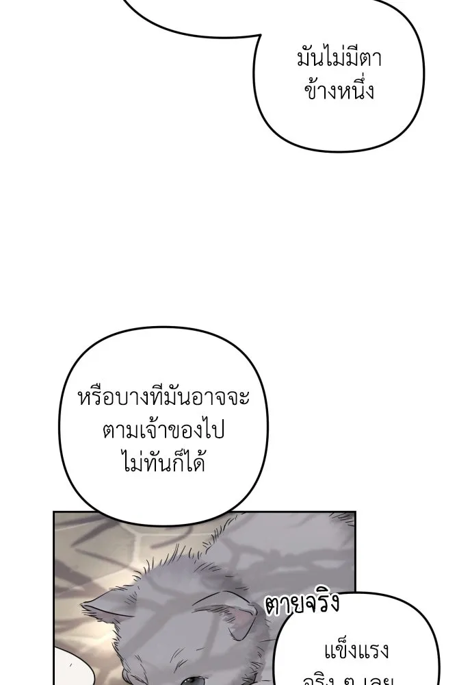 เลดี้มินต์ ตอนที่ 23 รูปที่ 77