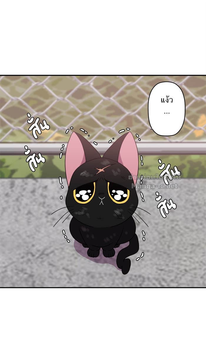 Doujin-Lc- อ่าน โดจิน มังฮวา เกาหลี ญี่ปุ่น จีน แปลไทย Take My Money รักนี้...มีเปย์ ตอนที่ 1 2 3 4 5 6 7 8 9 10 11 12 13 14 ฟรี ไม่มีโฆษณา อ่าน โดจิน Manhwa เกาหลี ญี่ปุ่น จีน เรามีครบ คัดมาให้เน้นๆ โดจิน 18+ รับประกันความฟินโดย Doujin Lc