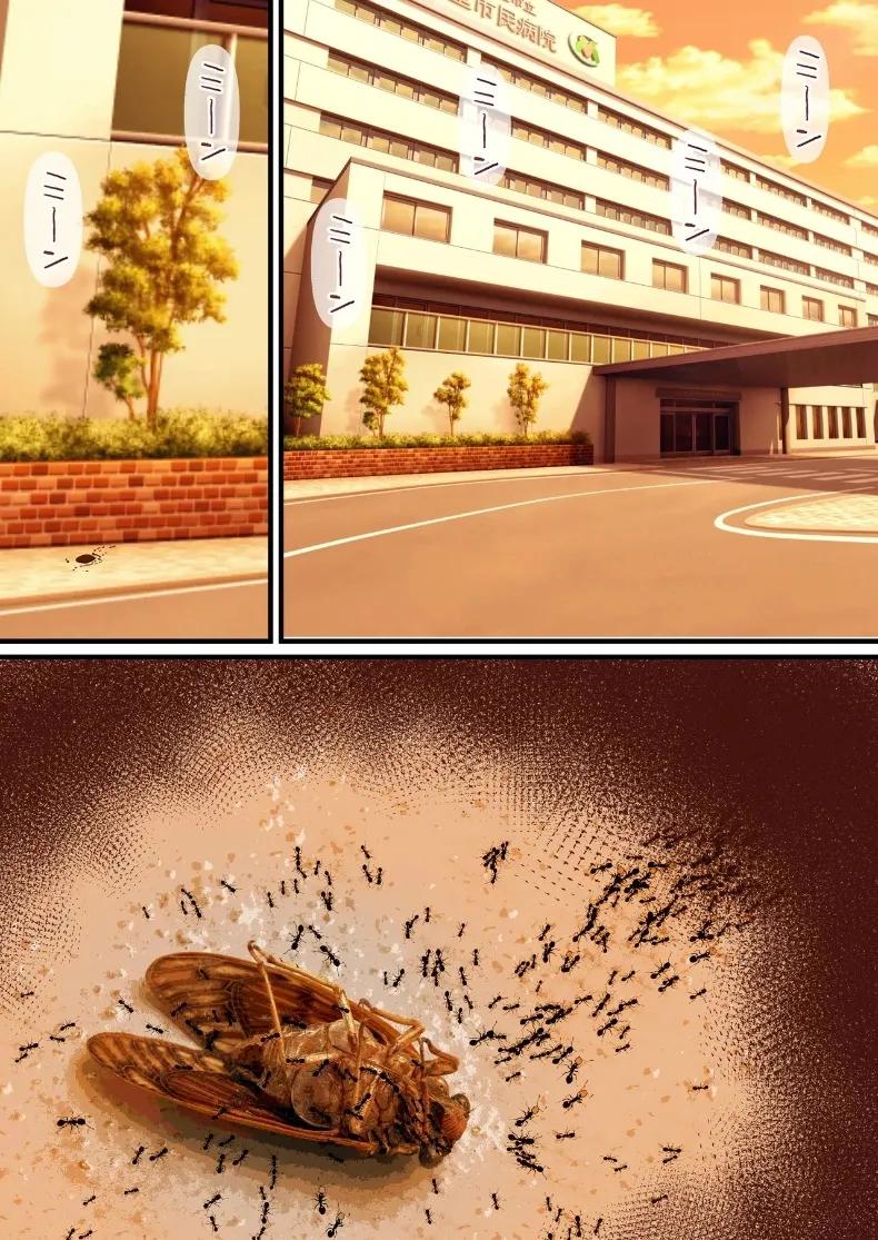 Doujin-Lc- อ่าน โดจิน มังฮวา เกาหลี ญี่ปุ่น จีน แปลไทย การชดใช้บาปให้พ่อเลี้ยงของฉัน (Shironekoya) ตอนที่ 1 2 3 4 5 6 7 8 9 10 11 12 13 14 ฟรี ไม่มีโฆษณา อ่าน โดจิน Manhwa เกาหลี ญี่ปุ่น จีน เรามีครบ คัดมาให้เน้นๆ โดจิน 18+ รับประกันความฟินโดย  Doujin Lc