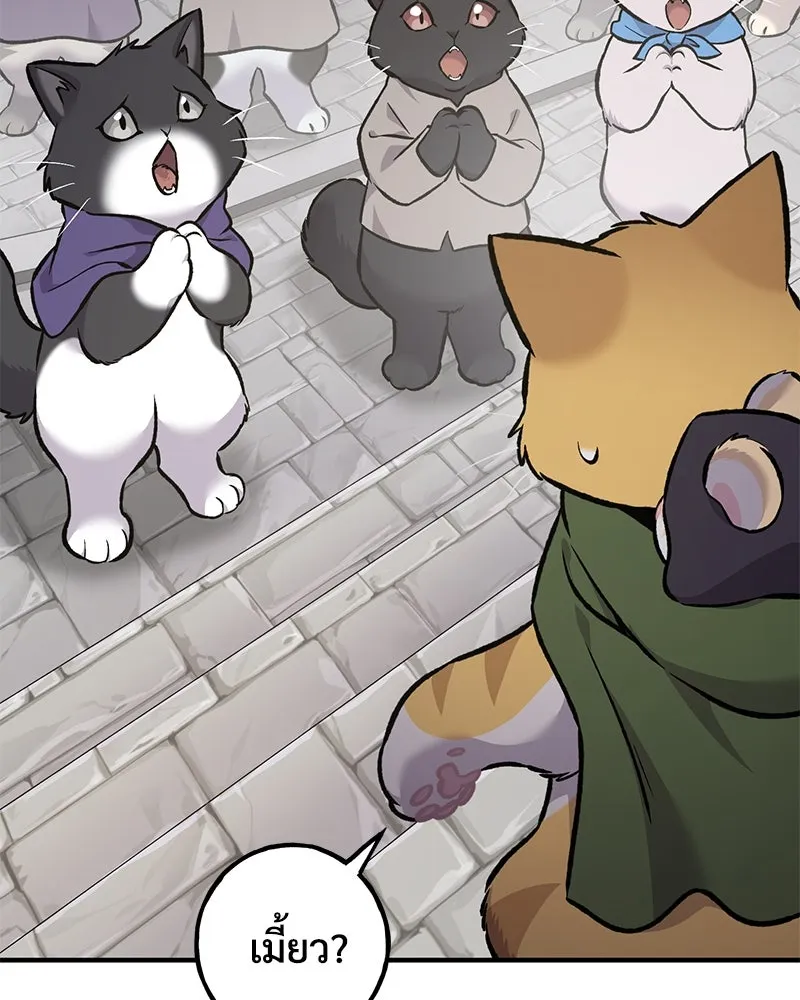 ปลูกผักพิชิตหอคอย ตอนที่ 88 รูปที่ 146