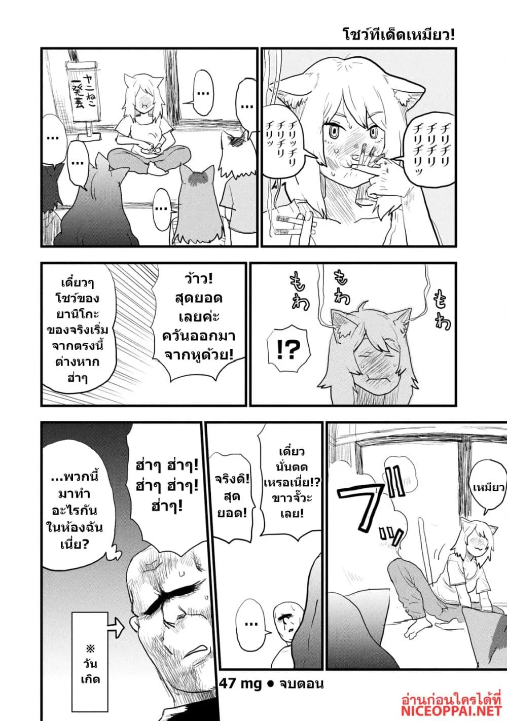 Manga-lc-com อ่านมังงะ อ่านการ์ตูน ออนไลน์ ฟรี Yani Neko ตอนที่ 1 2 3 4 5 6 7 8 9 10 11 12 13 14 ฟรี ไม่มีโฆษณา Manga-lc - อ่าน มังงะ อ่าน การ์ตูน ออนไลน์ อ่านมังงะ ฟรี