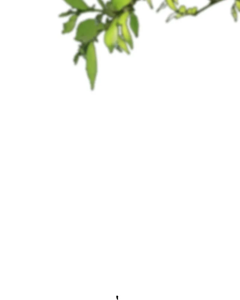 เจ้าหญิงคลั่งแห่งวังหลวง ตอนที่ 123 รูปที่ 26