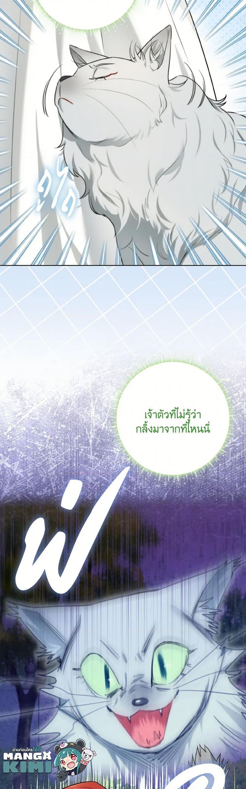 Manga-lc-com อ่านมังงะ อ่านการ์ตูน ออนไลน์ ฟรี I Possessed a Villainess, but I Wanna Raise Cats! ตอนที่ 1 2 3 4 5 6 7 8 9 10 11 12 13 14 ฟรี ไม่มีโฆษณา Manga-lc - อ่าน มังงะ อ่าน การ์ตูน ออนไลน์ อ่านมังงะ ฟรี