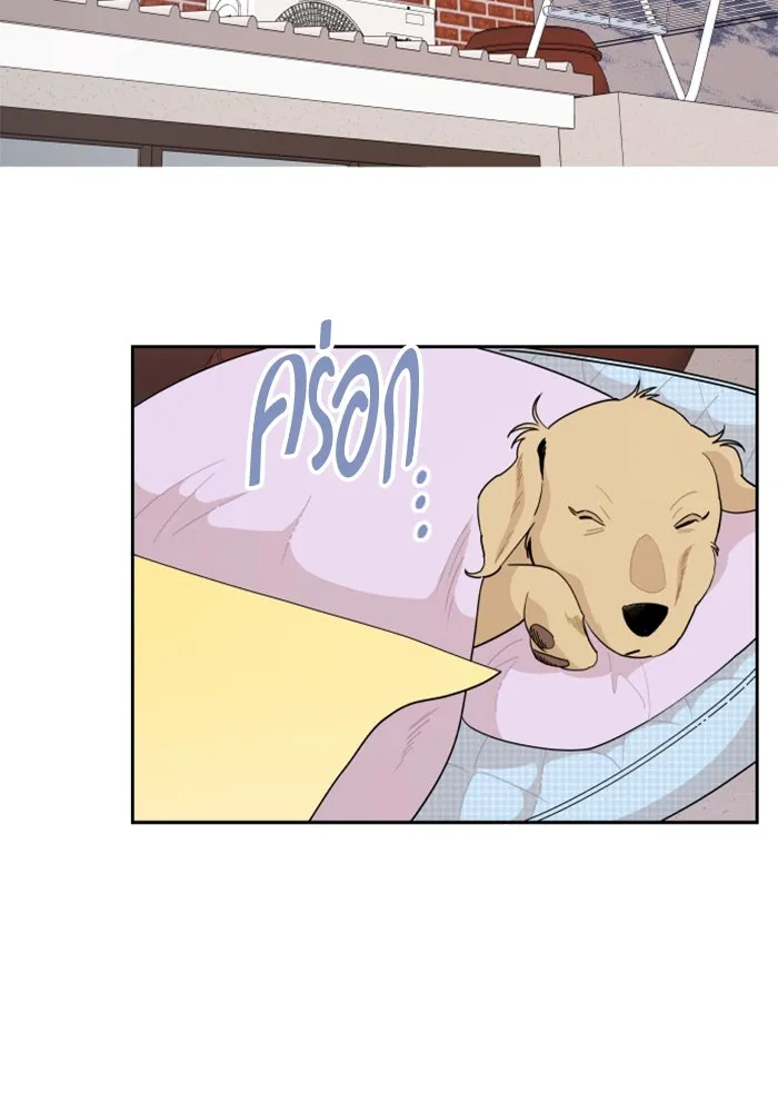 จริง ๆ แล้ว โอบารัมน่ะ… ตอนที่ 51 รูปที่ 7