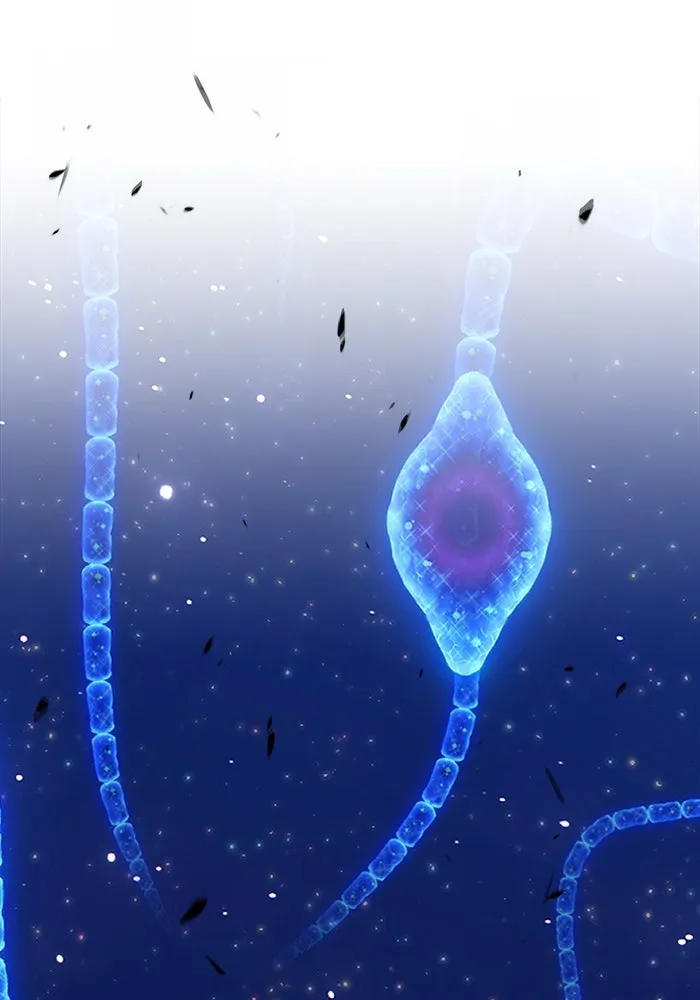 +99 ท่อนไม้พร้อมบวก ตอนที่ 65 รูปที่ 50