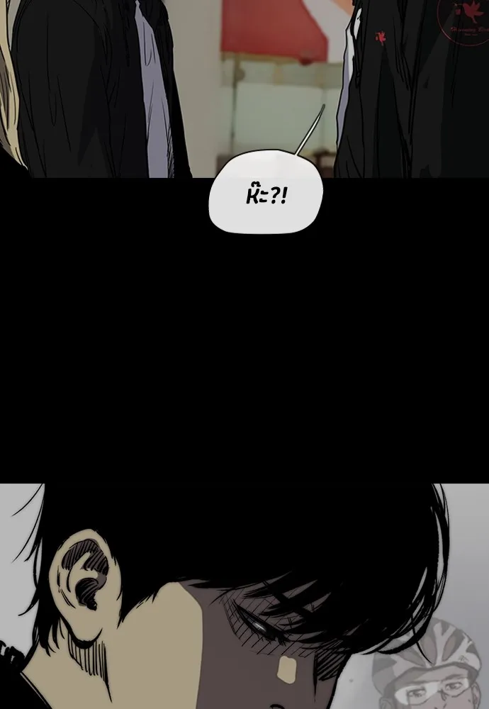 ปั่นสู้ฝันbrWind Breaker ตอนที่ 59 รูปที่ 43