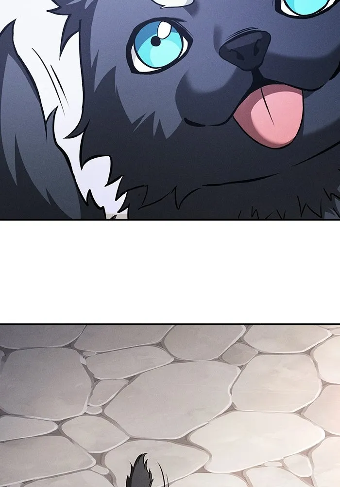 นักดาบอัจฉริยะจากอะคาเดมี ตอนที่ 122 รูปที่ 43