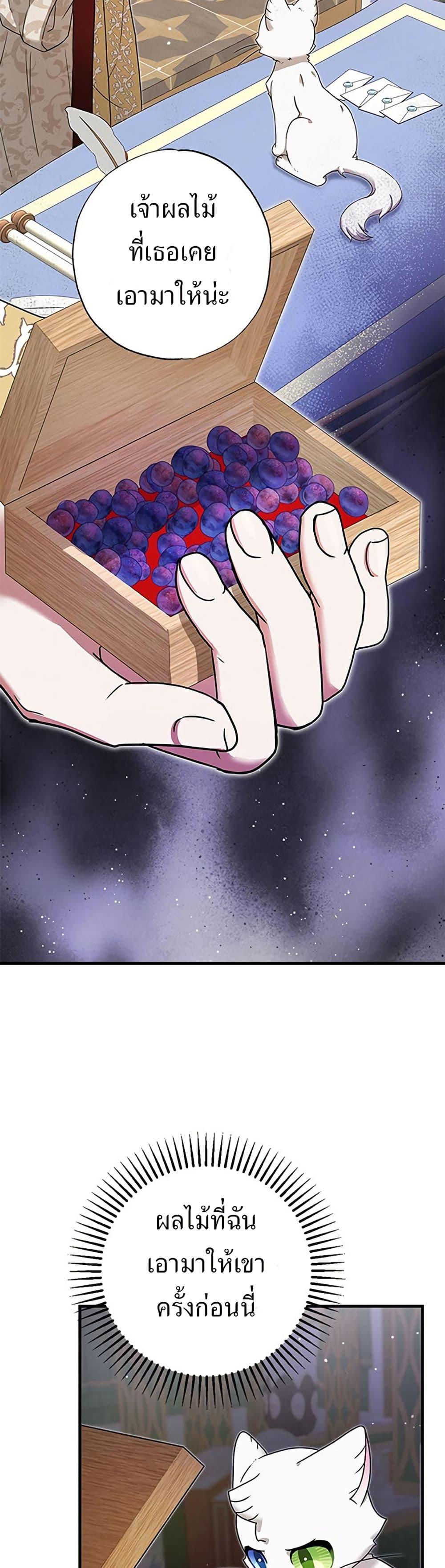 Manga-lc-com อ่านมังงะ อ่านการ์ตูน ออนไลน์ ฟรี I Became the Emperor’s Cat ตอนที่ 1 2 3 4 5 6 7 8 9 10 11 12 13 14 ฟรี ไม่มีโฆษณา Manga-lc - อ่าน มังงะ อ่าน การ์ตูน ออนไลน์ อ่านมังงะ ฟรี