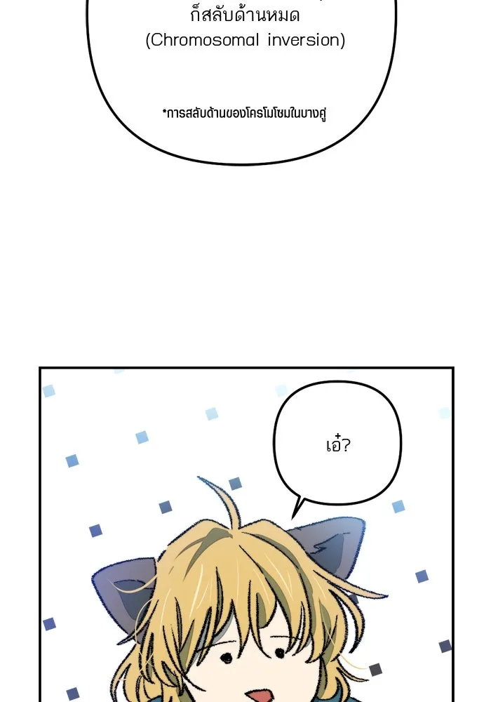 เปย์นี้เพื่อนาย My Sugar Baby ตอนที่ 78 เดือนแรก  หลบหนีจากห้องปิดตาย รูปที่ 13