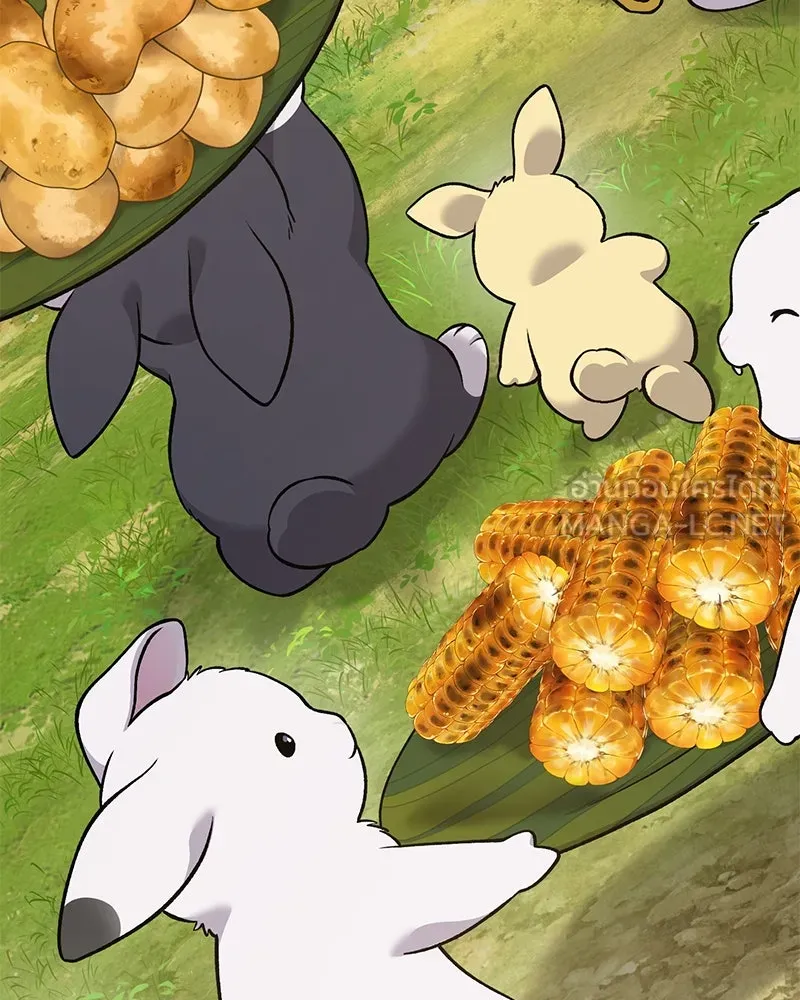 ปลูกผักพิชิตหอคอย ตอนที่ 52 รูปที่ 204