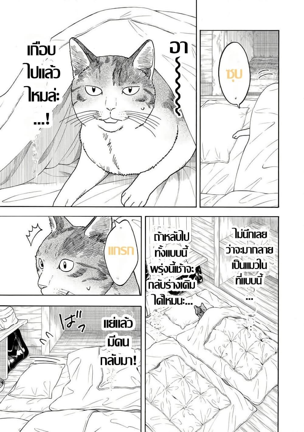 Manga-lc-com อ่านมังงะ อ่านการ์ตูน ออนไลน์ ฟรี Yuzuki Becomes A Cat ตอนที่ 1 2 3 4 5 6 7 8 9 10 11 12 13 14 ฟรี ไม่มีโฆษณา Manga-lc - อ่าน มังงะ อ่าน การ์ตูน ออนไลน์ อ่านมังงะ ฟรี