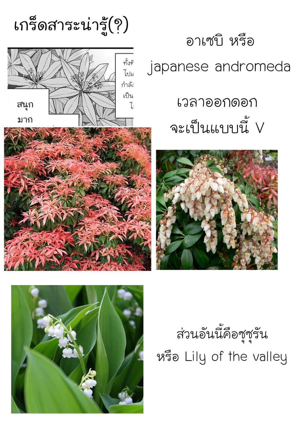 Manga-lc-com อ่านมังงะ อ่านการ์ตูน ออนไลน์ ฟรี Akuyaku no Goreisoku no Dounika shitai Nichijou ตอนที่ 1 2 3 4 5 6 7 8 9 10 11 12 13 14 ฟรี ไม่มีโฆษณา Manga-lc - อ่าน มังงะ อ่าน การ์ตูน ออนไลน์ อ่านมังงะ ฟรี