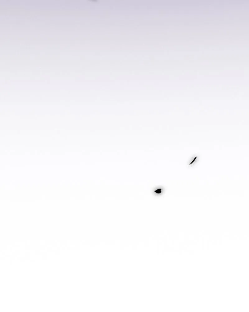 เซเรน่า ตอนที่ 55 รูปที่ 101